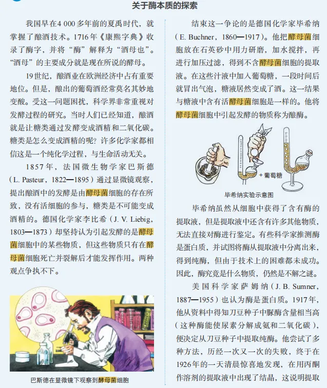 精读教材:酵母菌核心考点系统梳理与高考真题溯源 第1张