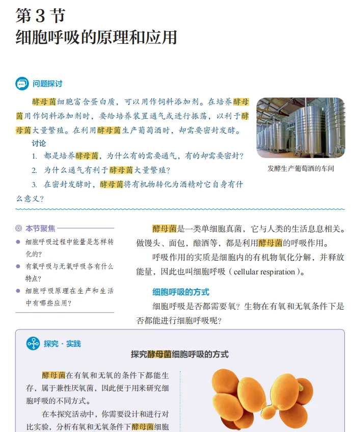 精读教材:酵母菌核心考点系统梳理与高考真题溯源 第2张