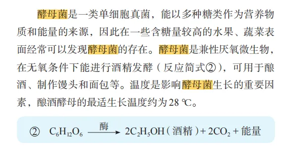精读教材:酵母菌核心考点系统梳理与高考真题溯源 第5张