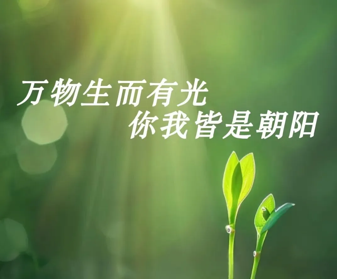 中考高分作文进阶:如何设线写出作文的细腻与真情《以热爱为翼》 第3张