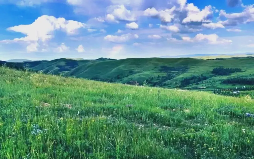 【中考阅读指导】一片青山入画来(王先桃)江苏南通2025 第4张