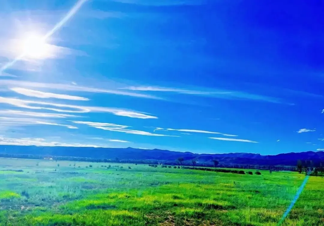 【中考阅读指导】一片青山入画来(王先桃)江苏南通2025 第6张