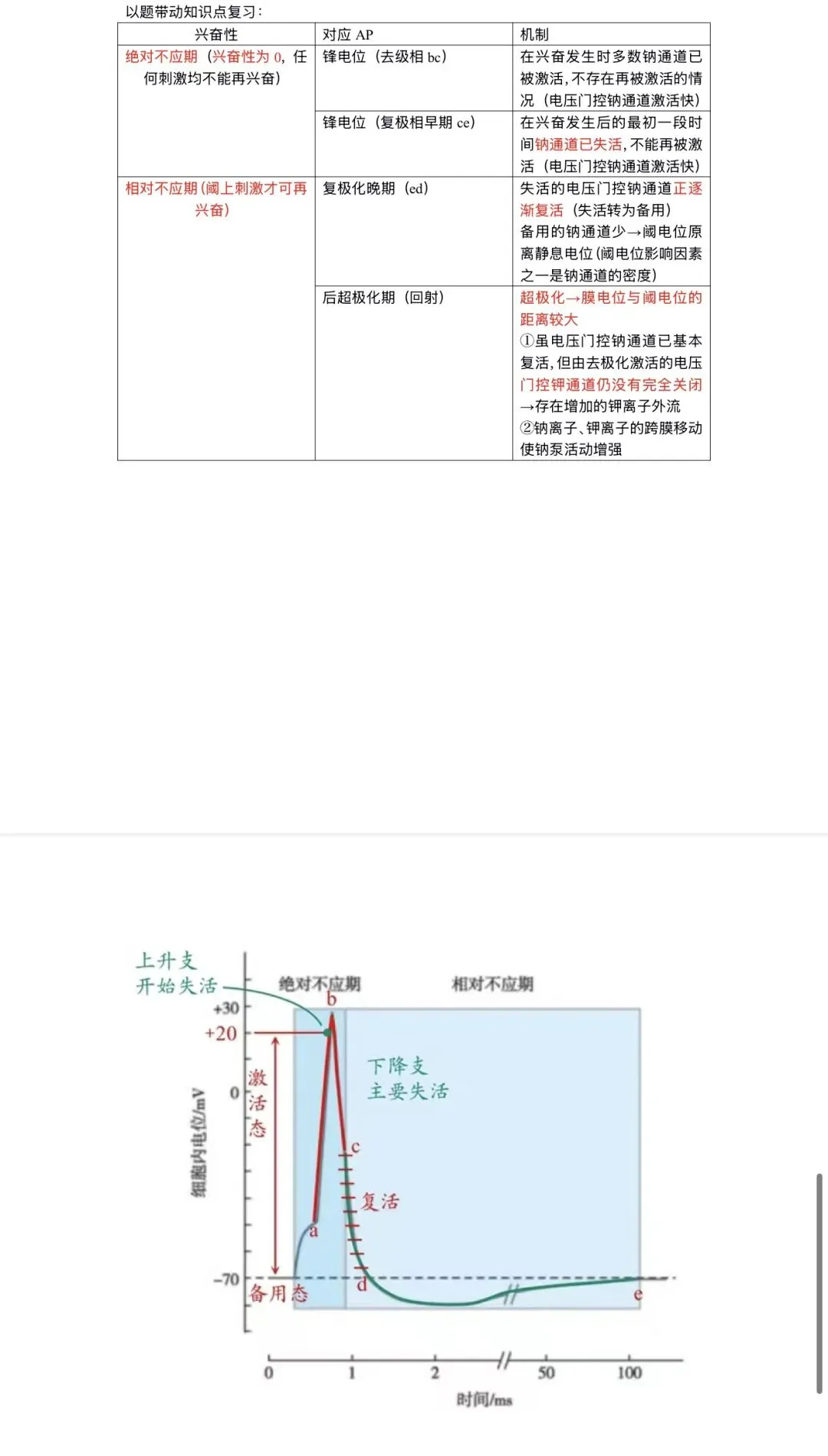 ttsx彩蛋课 细胞电活动真题讲解 第3张