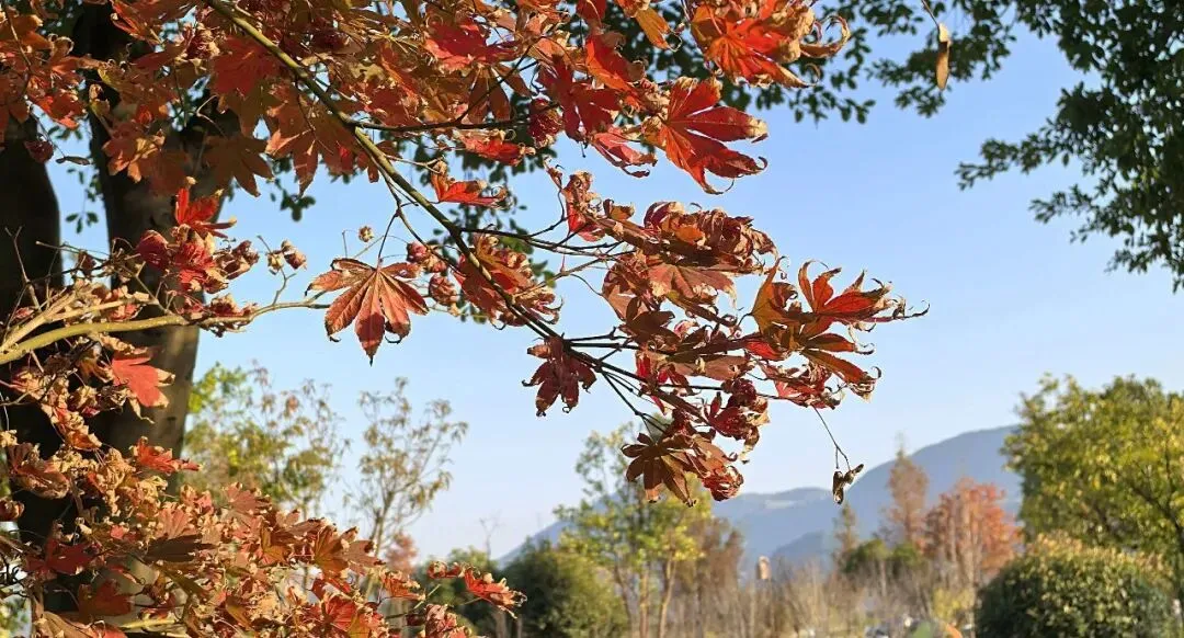 义务教育学校纸笔考试试卷质量评价标准研究 第1张