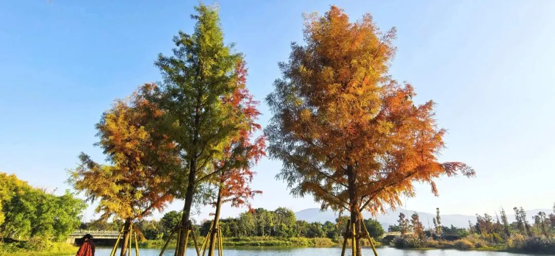 义务教育学校纸笔考试试卷质量评价标准研究 第11张