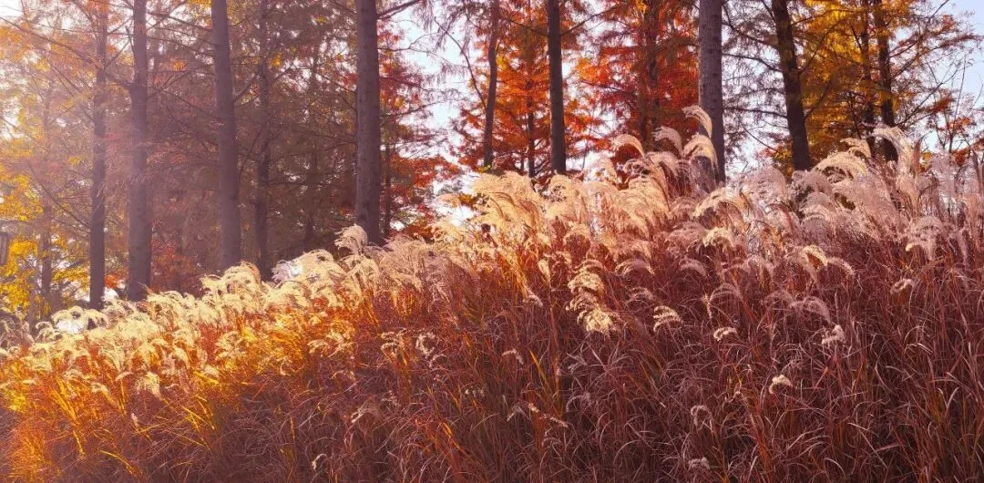 义务教育学校纸笔考试试卷质量评价标准研究 第12张