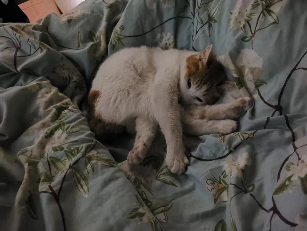 【第1260期】为什么高考试卷上不让做标记?因为在信号屏蔽区内,无法标记. 第21张