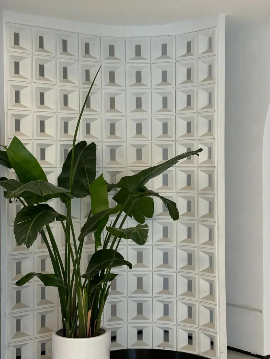 常州备考上海国际学校看这里:模拟题真题免费领取! 第17张