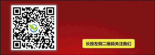 武邑2026年“中考报名模拟演练”进行中. 第9张