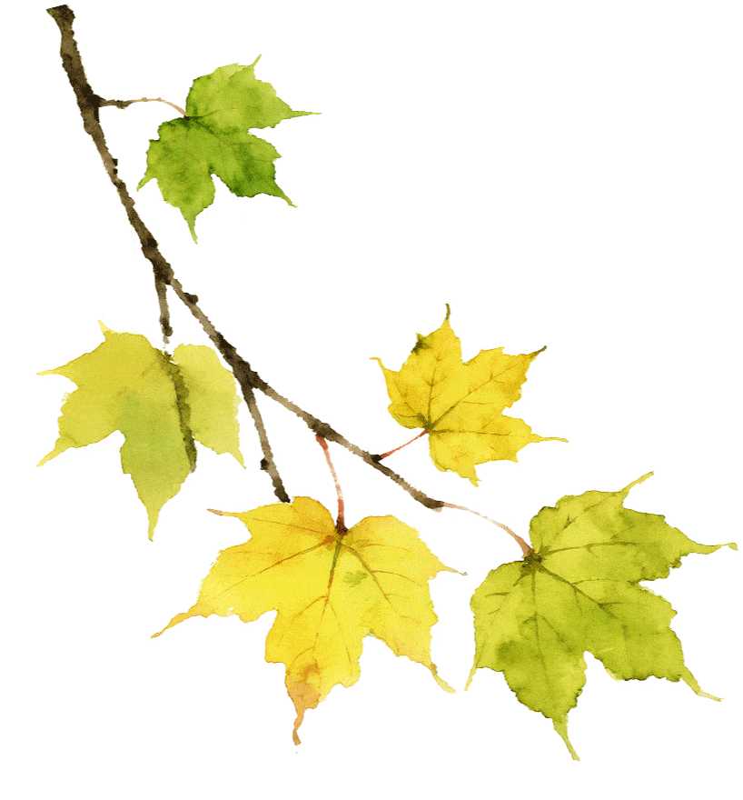 中考分流不可怕,选对赛道更重要!深圳家长已用行动投票 第7张