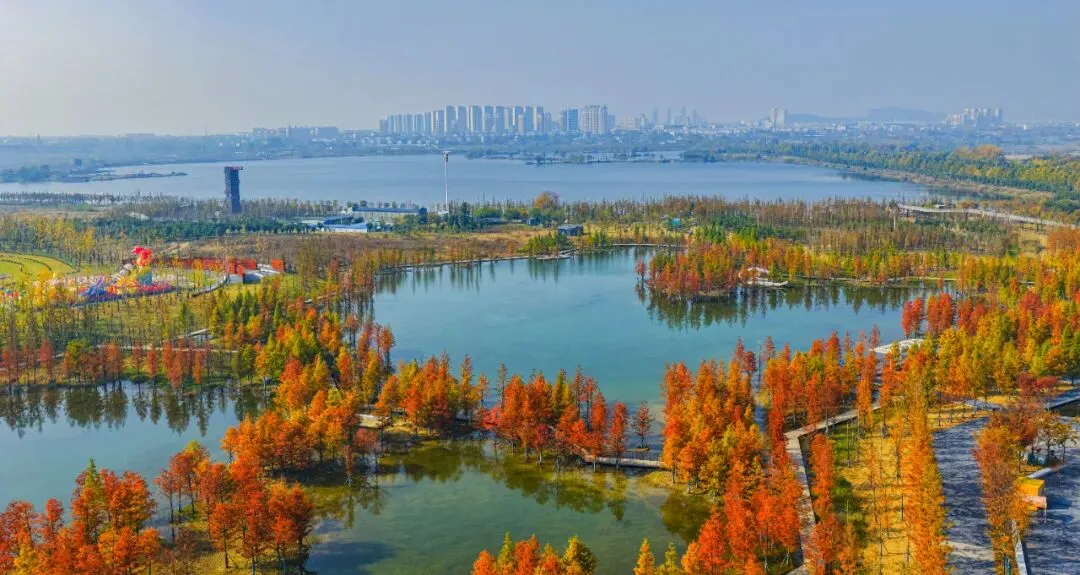 事关2026年中考,市教体局最新通知! 第1张