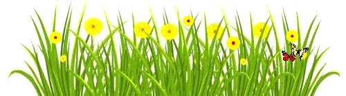 【事关中考】淮南市2026年初中学业水平体育与健康学科考试工作方案 第6张