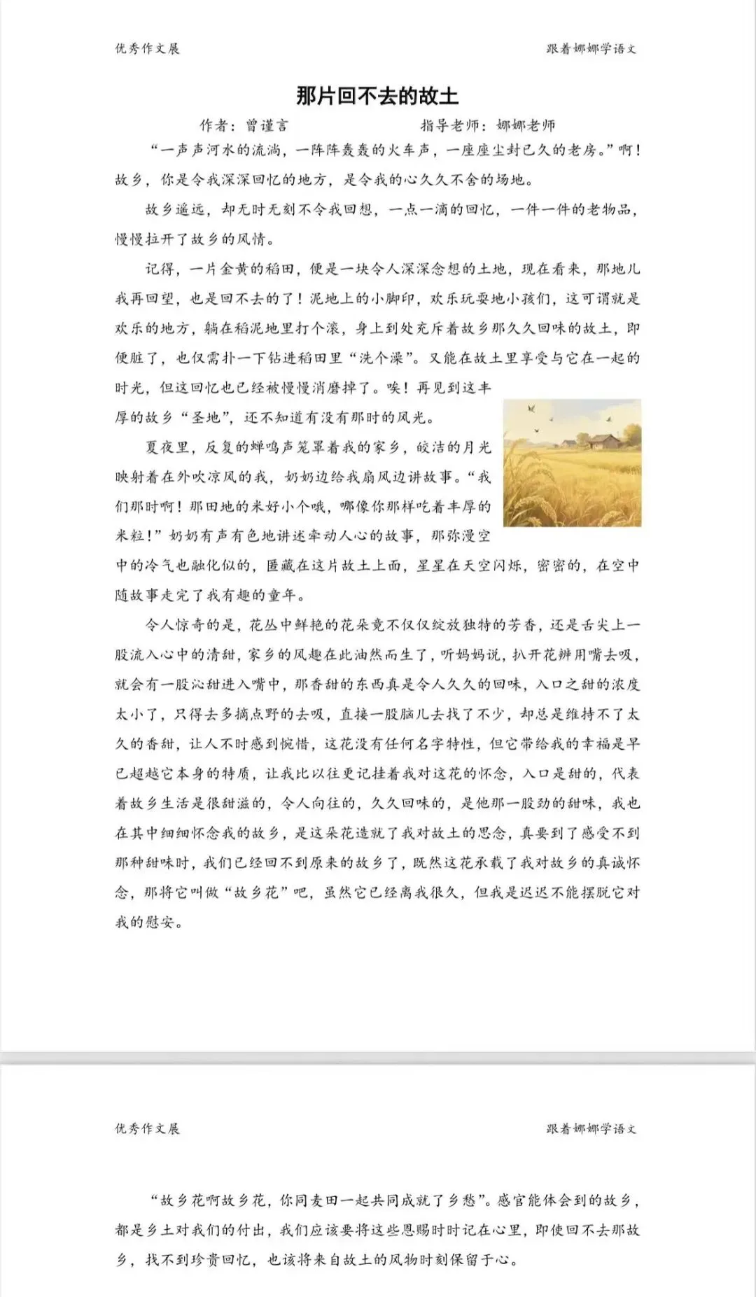 中考系列—故乡主题美文欣赏 第2张