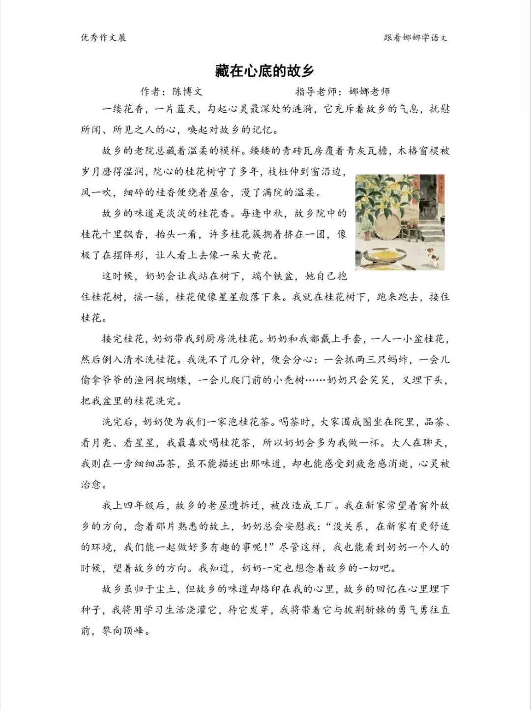 中考系列—故乡主题美文欣赏 第3张