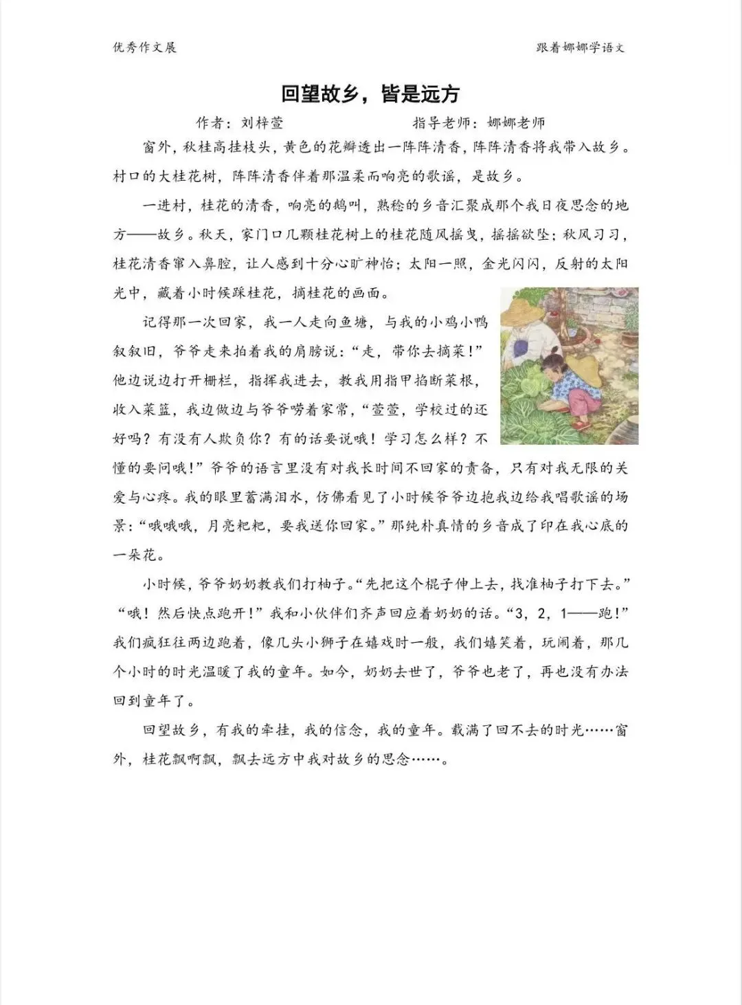 中考系列—故乡主题美文欣赏 第10张