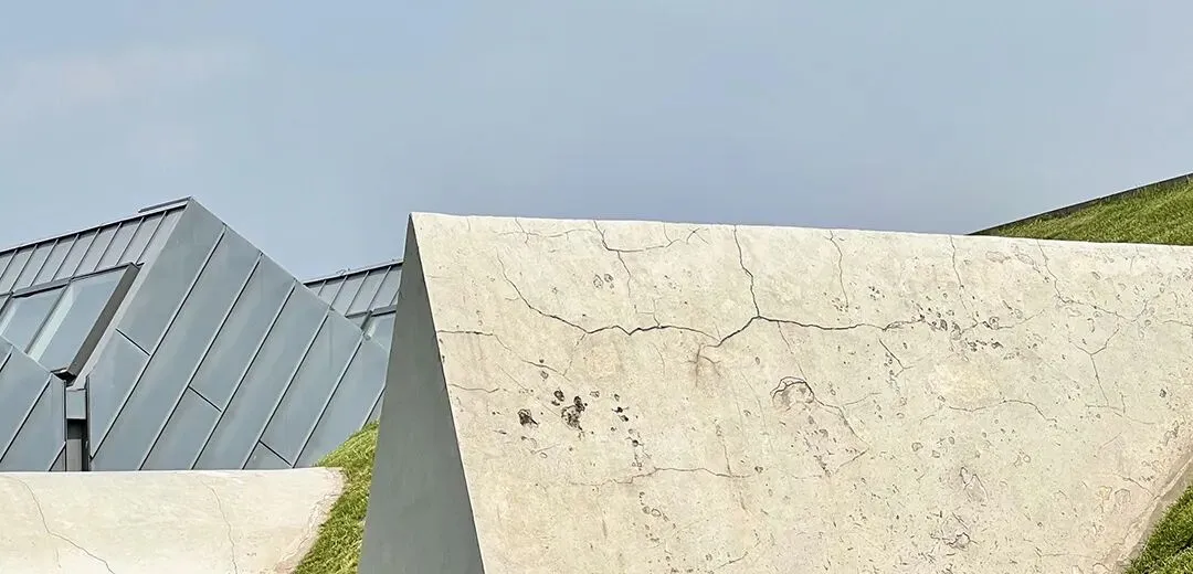 天津中考新规来了!每一点,都和你相关 第1张