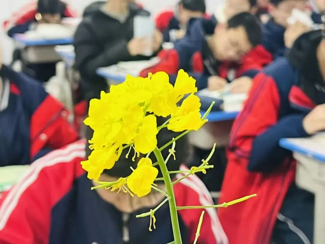 离中考95天丨 致亲爱的你:敏而好学,不耻“上”问 第1张