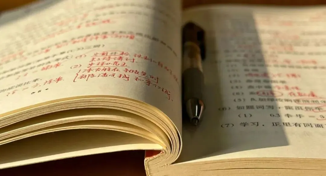 2026蜜蜂试卷限时福利,速领!!! 第1张