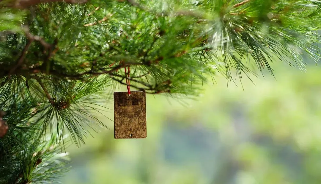 江西中考数学多解填空题专题系列1--特殊图形类 第7张