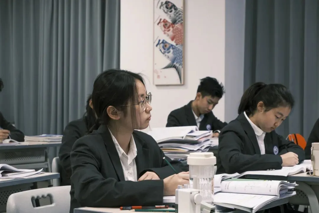 给临港初三生多个选择!中考分数卡普高线也能冲双一流,这条升学赛道藏着大能量. 第40张