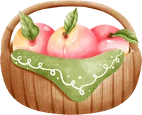 中考复习 | 中考语文小说阅读理解专题二:情节作用 第80张