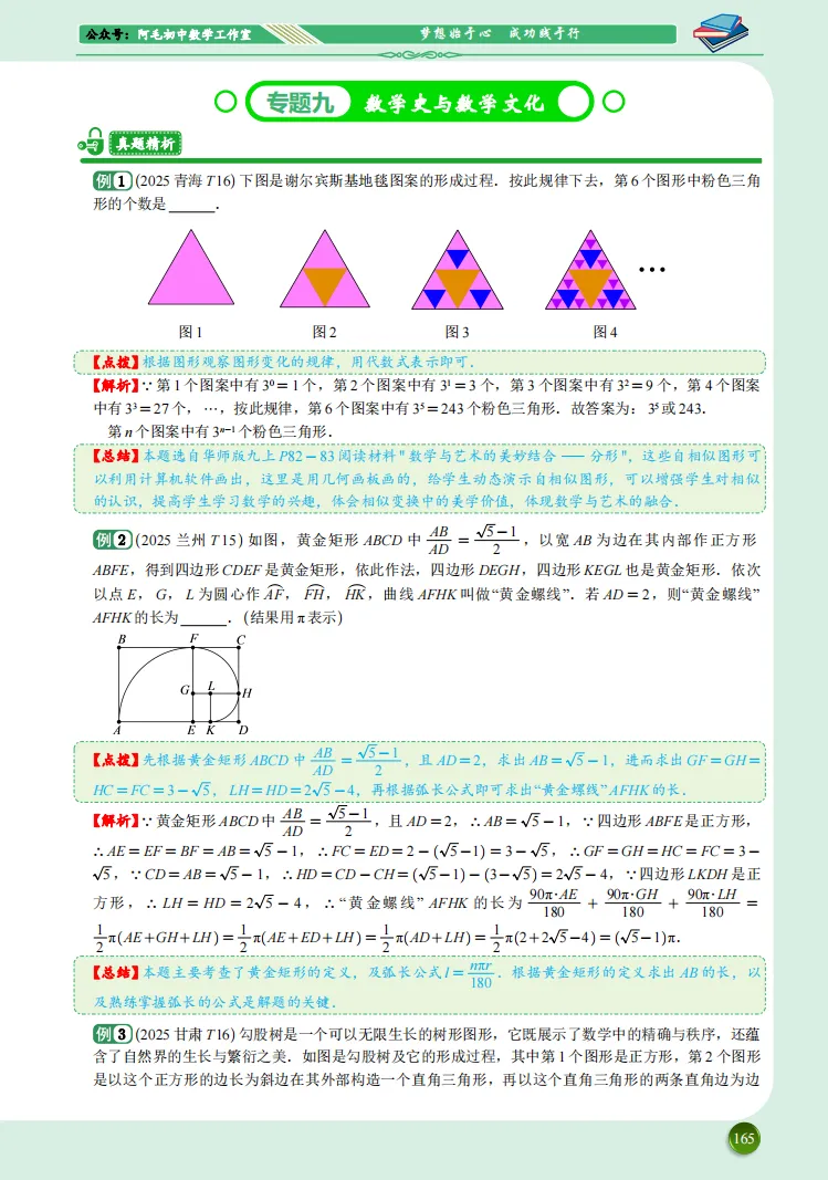 【试读】中考数学压轴题动态赏析---以2025年中考数学压轴题为例 第18张