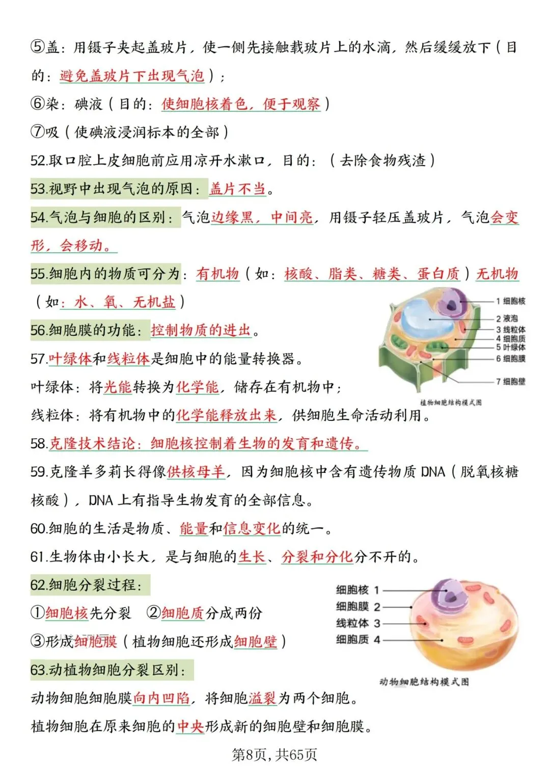 2026人教版中考复习7—8年级生物高频考点汇总,完整电子版可打印 第12张