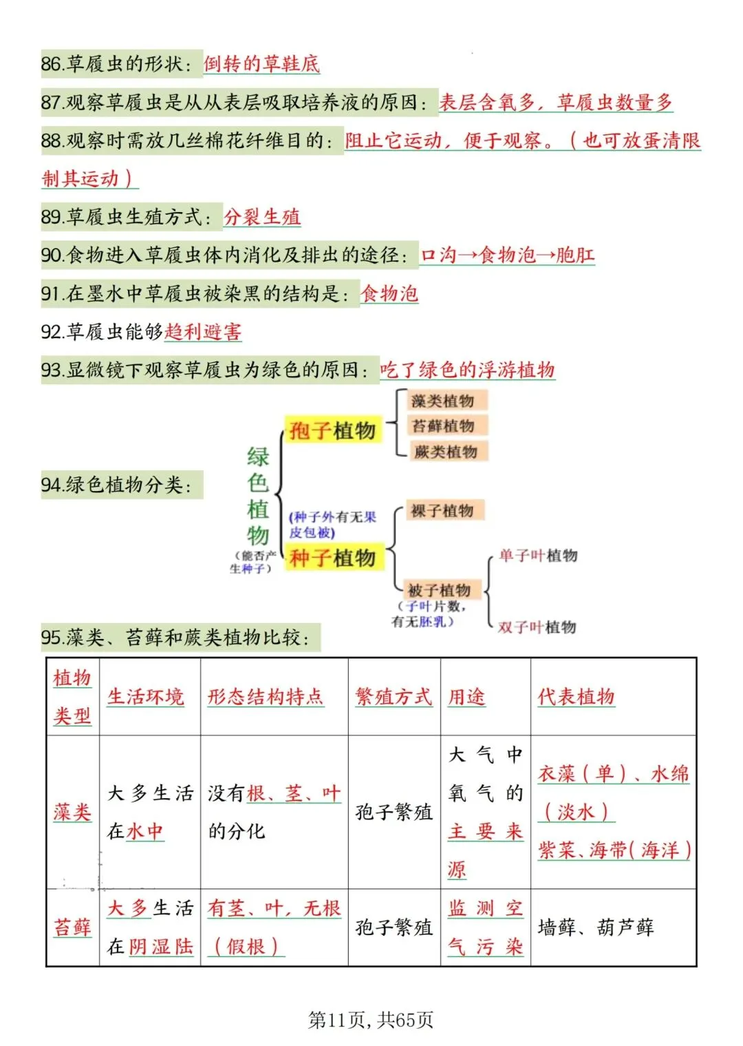 2026人教版中考复习7—8年级生物高频考点汇总,完整电子版可打印 第15张