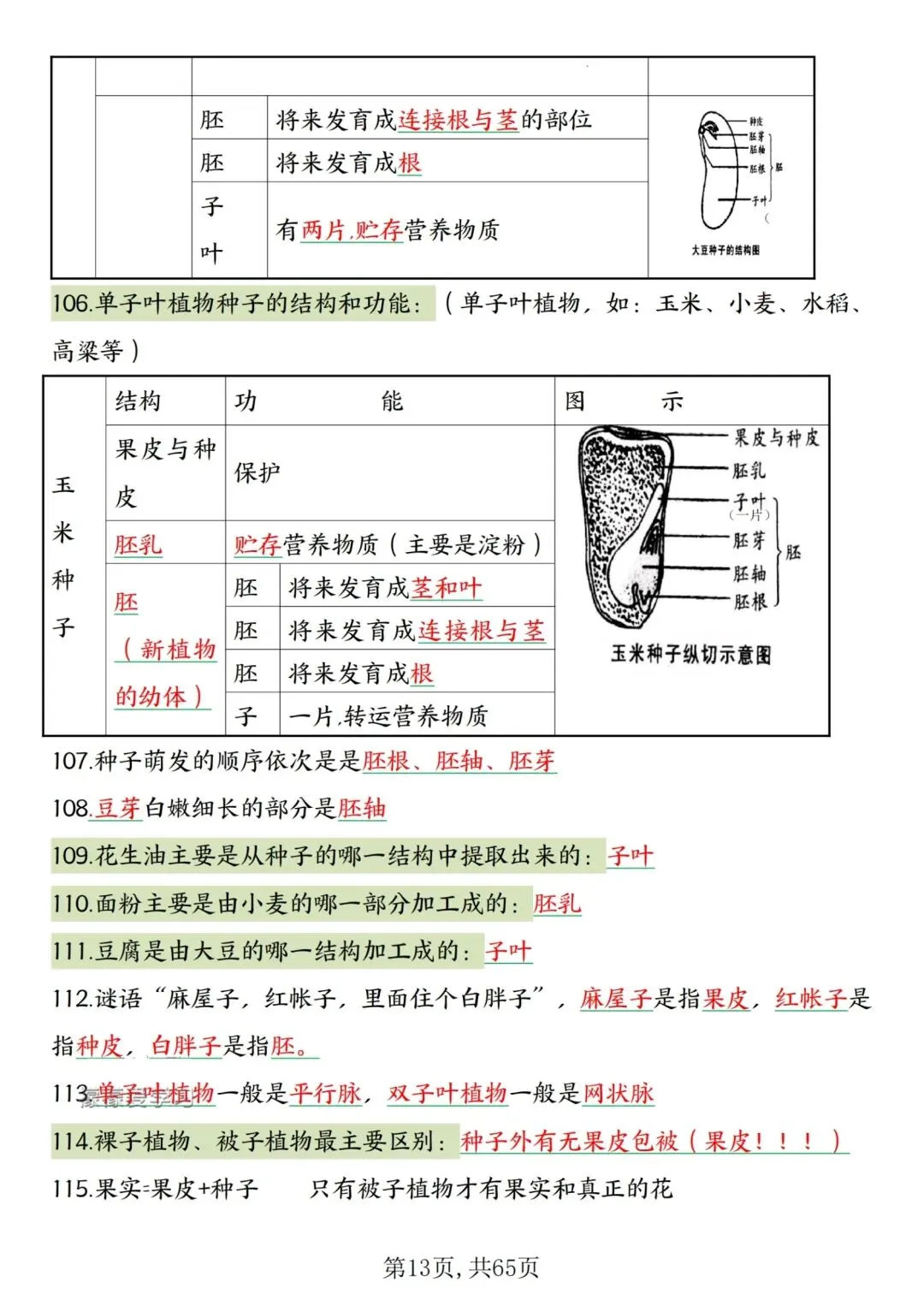 2026人教版中考复习7—8年级生物高频考点汇总,完整电子版可打印 第17张