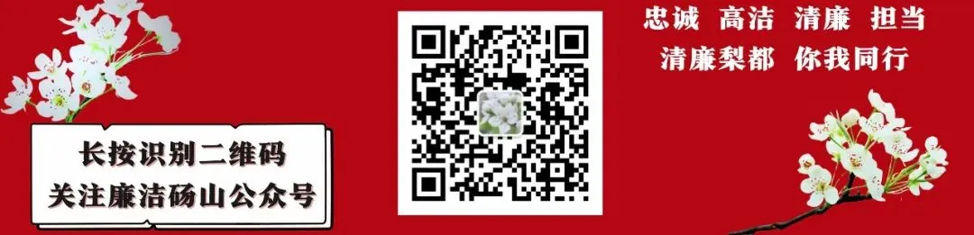 2026年宿州中考体育评分标准出炉! 第10张