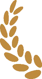 2026高中网盘群|高中网课、教辅、试卷、讲义 | 全科全年级 第20张