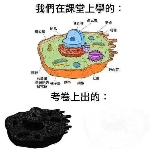 每日弔图:里面是试卷 第3张