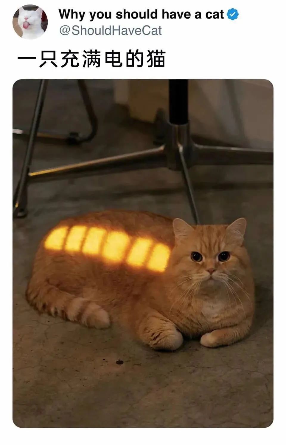 每日弔图:里面是试卷 第12张