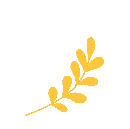 以青春之名 赴百日之约——我校初三年级中考百日誓师大会圆满举行 第7张