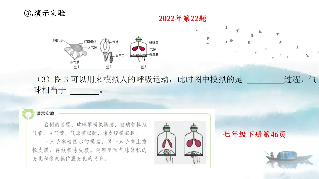 SK226 初中生物 中考讲座资源《析标研题固根基,聚焦热点强素养 ----2026年初中生物复习备考分析》讲座课件PPT+ 文字稿Word 第25张