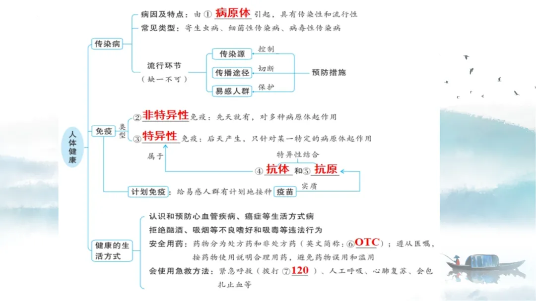 SK226 初中生物 中考讲座资源《析标研题固根基,聚焦热点强素养 ----2026年初中生物复习备考分析》讲座课件PPT+ 文字稿Word 第63张