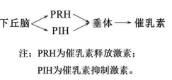 2026年东三省高三第一次联合模拟考试生物学试卷 第5张