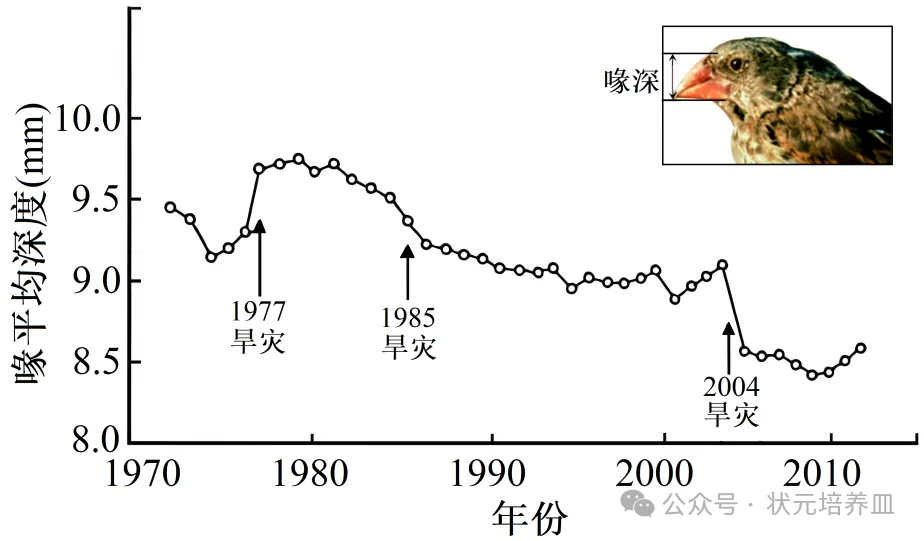 2026届大湾区普通高中毕业年级联合模拟考试(一)生物学试题和答案 ⊙ 第5张
