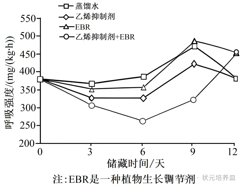 2026届大湾区普通高中毕业年级联合模拟考试(一)生物学试题和答案 ⊙ 第6张