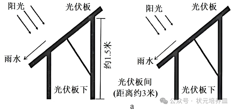2026届大湾区普通高中毕业年级联合模拟考试(一)生物学试题和答案 ⊙ 第8张