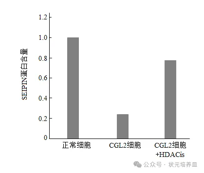 2026届大湾区普通高中毕业年级联合模拟考试(一)生物学试题和答案 ⊙ 第12张