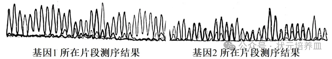 2026届大湾区普通高中毕业年级联合模拟考试(一)生物学试题和答案 ⊙ 第14张