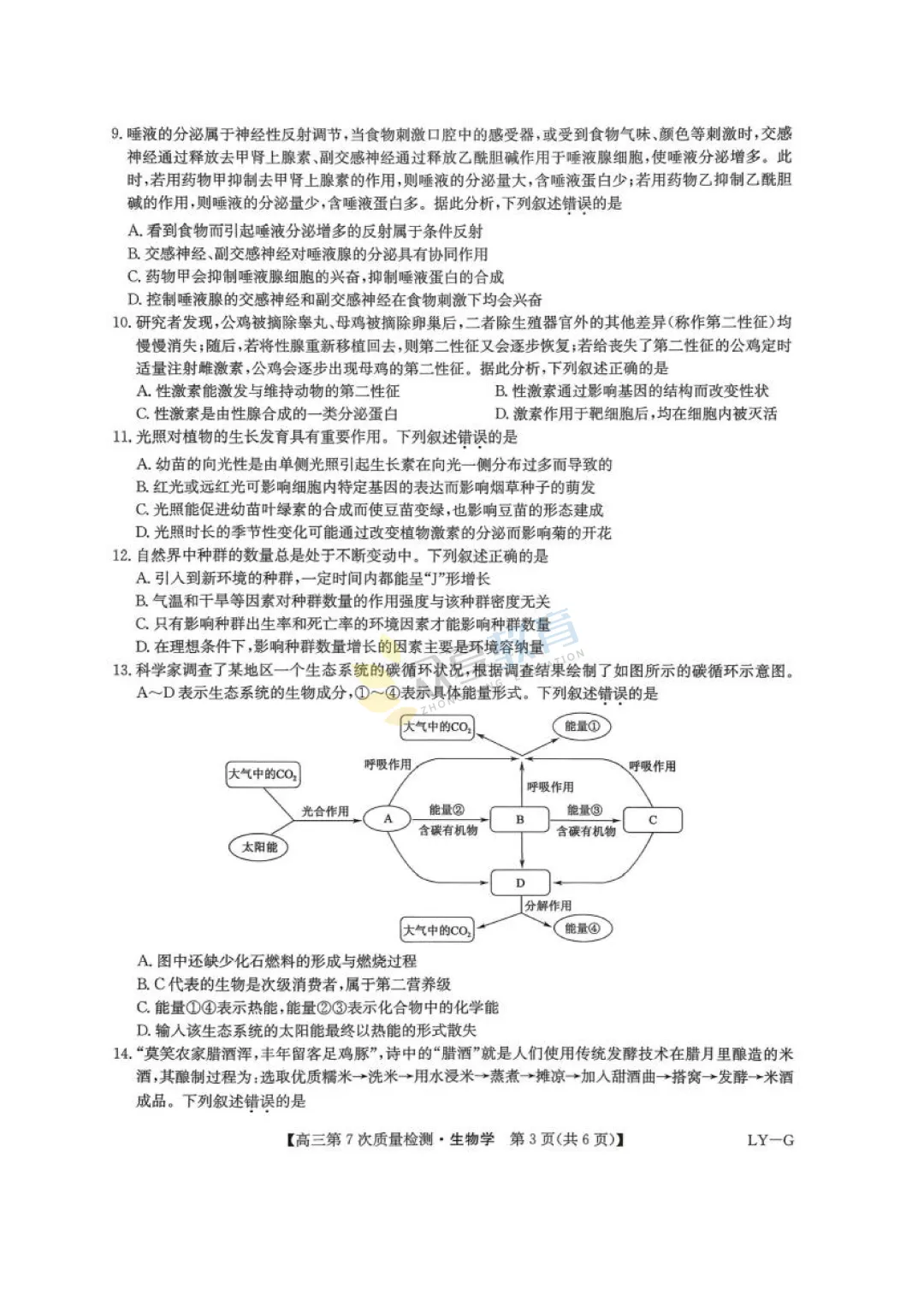 【高中试卷】九师联盟2026届高三第7次质量检测试卷及答案(9科全,可下载) 第42张