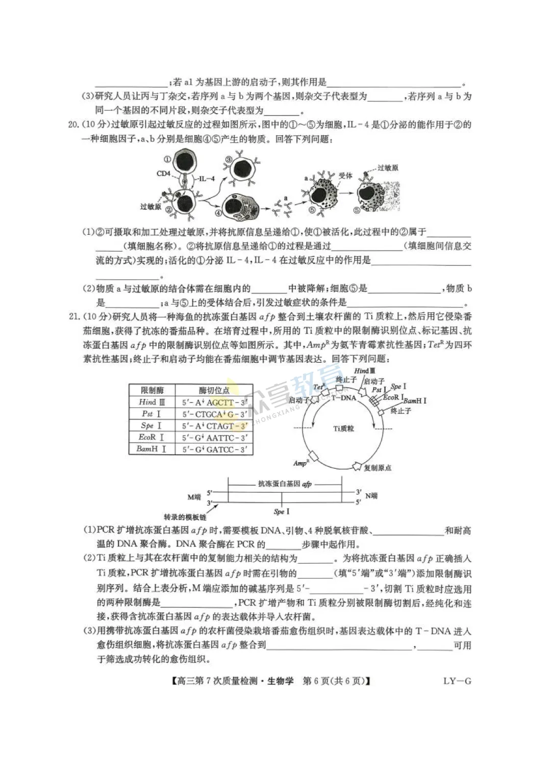 【高中试卷】九师联盟2026届高三第7次质量检测试卷及答案(9科全,可下载) 第45张
