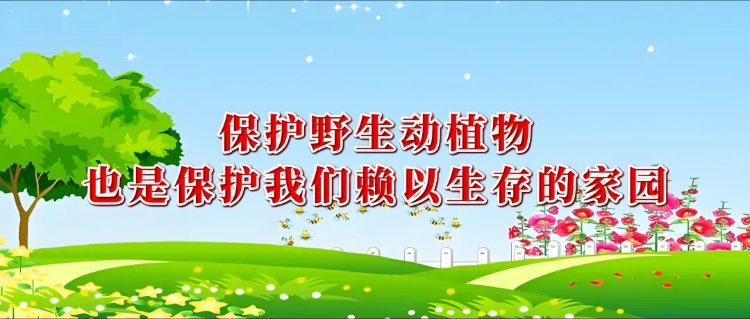 2026年内蒙古初中学业水平考试(中考)网上报名工作即将开始 第9张