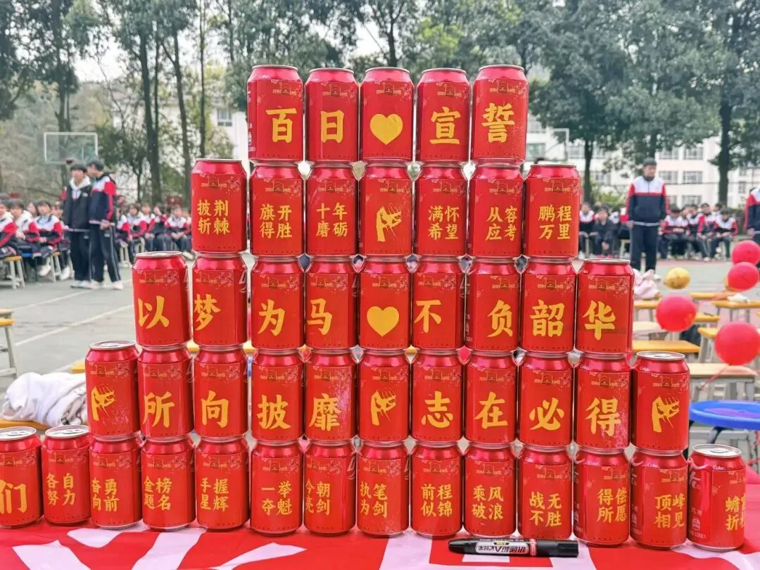 百日誓师燃壮志 中考逐梦创辉煌——黔西南州施达赛文学校2026届九年级学子百日誓师大会 第25张