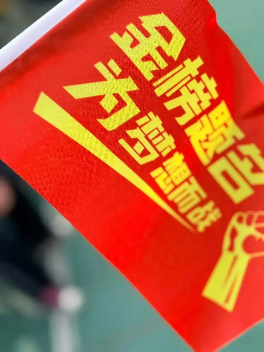 百日誓师燃壮志 中考逐梦创辉煌——黔西南州施达赛文学校2026届九年级学子百日誓师大会 第26张