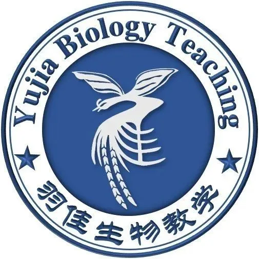 2015-2024年10年高考真题专题分类汇编(WORD文件,免费下载) 第7张