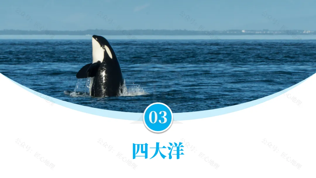 新教材 | 中考一轮复习·大洲和大洋(课件+导学单+练习题) 第37张