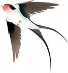 精准指导明方向 深耕细研备中考——区初中语文教研员陈红老师莅临我校调研指导 第7张